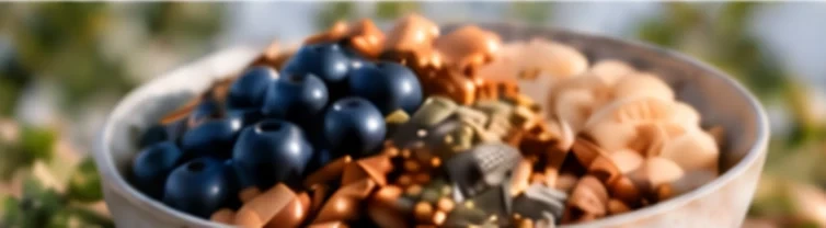 Bowl of food with blueberries, grains and nuts